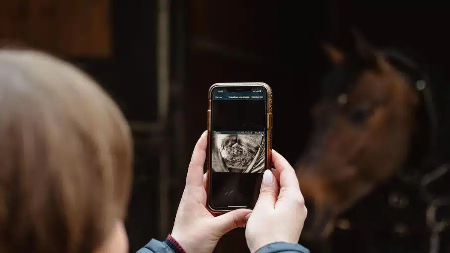 Caméra surveillance chevaux Coho, Gallagher Europe | Pégase Daily