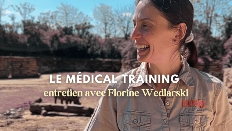 Florine Wedlarski, vétérinaire au zoo Bioparc de Doué-la-Fontaine, explique le medical training avec les rhinocéros | Pégase Daily