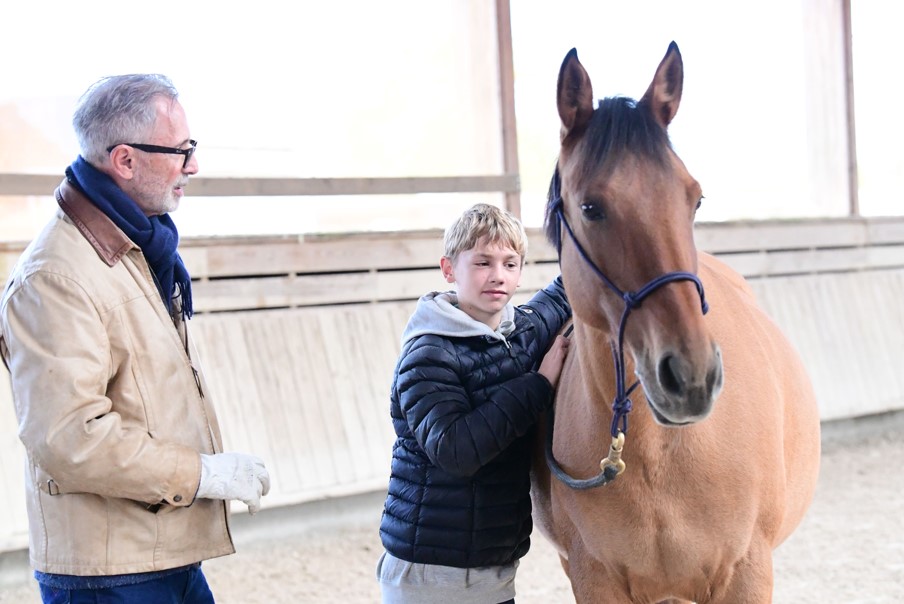 "Comment travailler son cheval à pied,", Thierry Lhermitte au Pôle International du Cheval | Pégase Daily